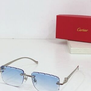 Cartier Multi Color Sunglasses